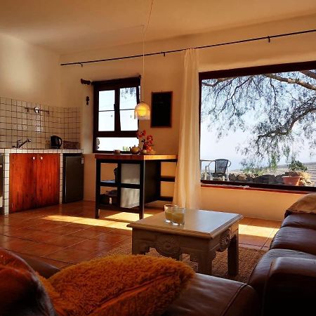 Apartamento Pirul 해리아 외부 사진